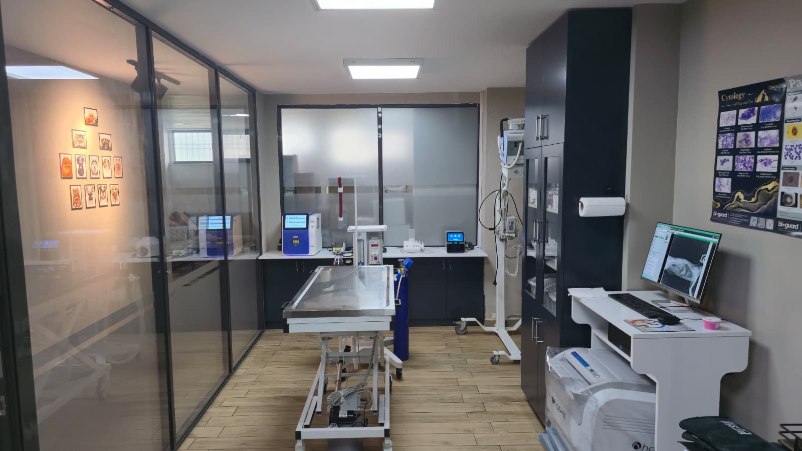 Muayene odası ve laboratuvar ekipmanları