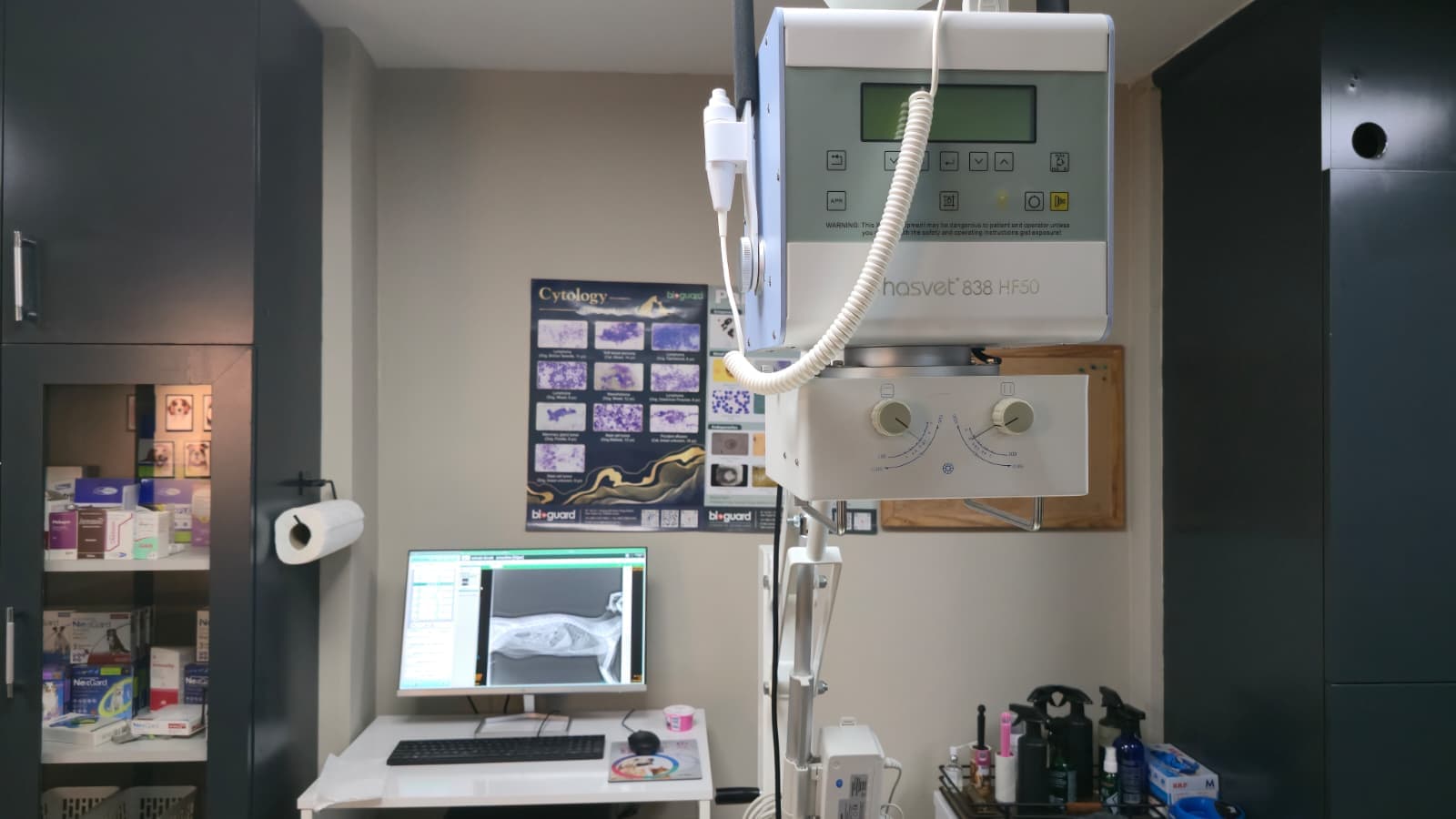 Röntgen ve Görüntüleme — Merkez Veteriner Kliniği Denizli